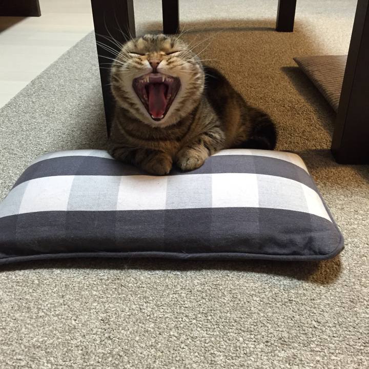 A22bfc90 220d 447f 933e 99091b4e80a9