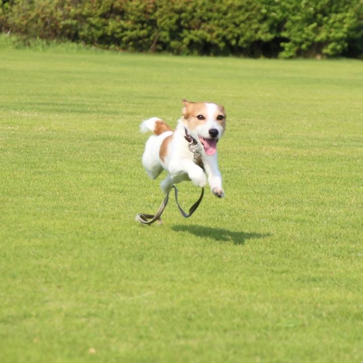 A22c6e56 322e 4947 bd20 37ebc8b7a7a3