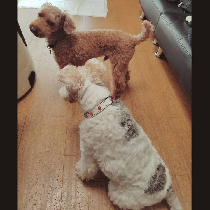 A22da66f 9929 456a 9b7d c469513a1d58