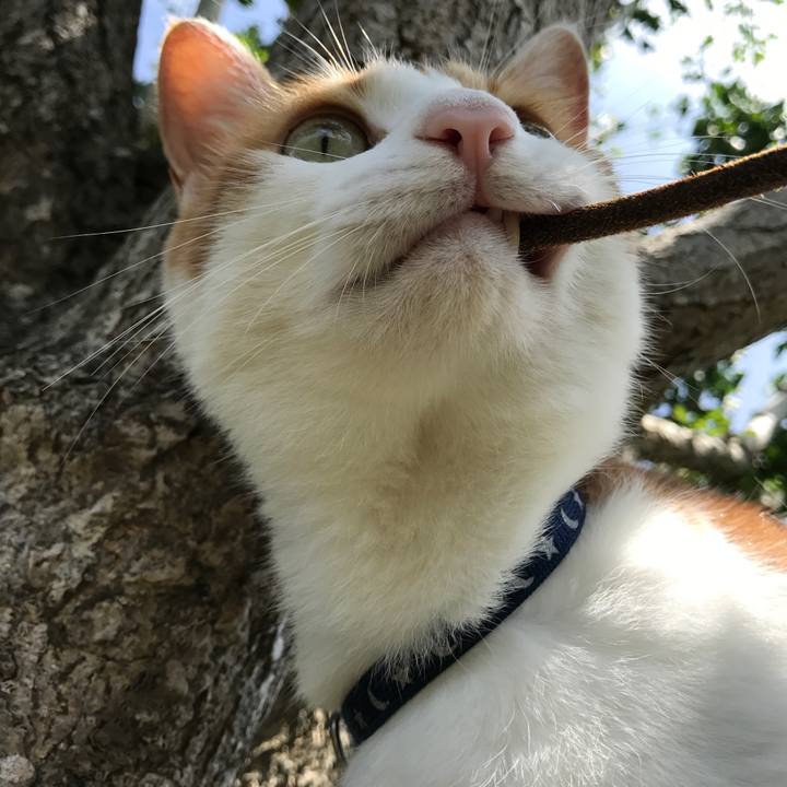 A22db42d 01c6 4a0f a1ad 85a138809dda