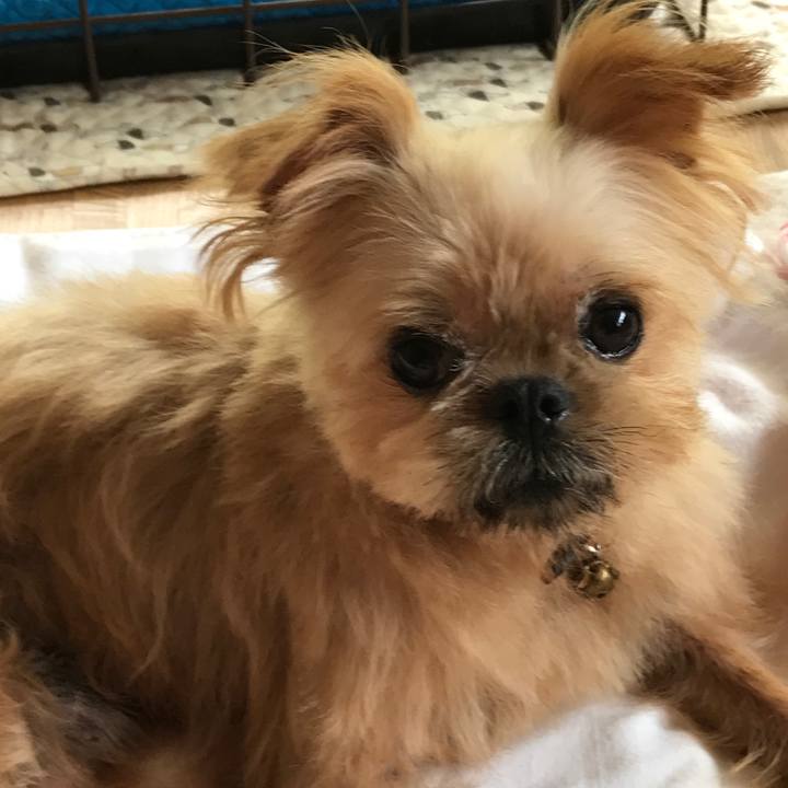 A22db4d2 3e44 465a a4e1 7d12e4d98f9f