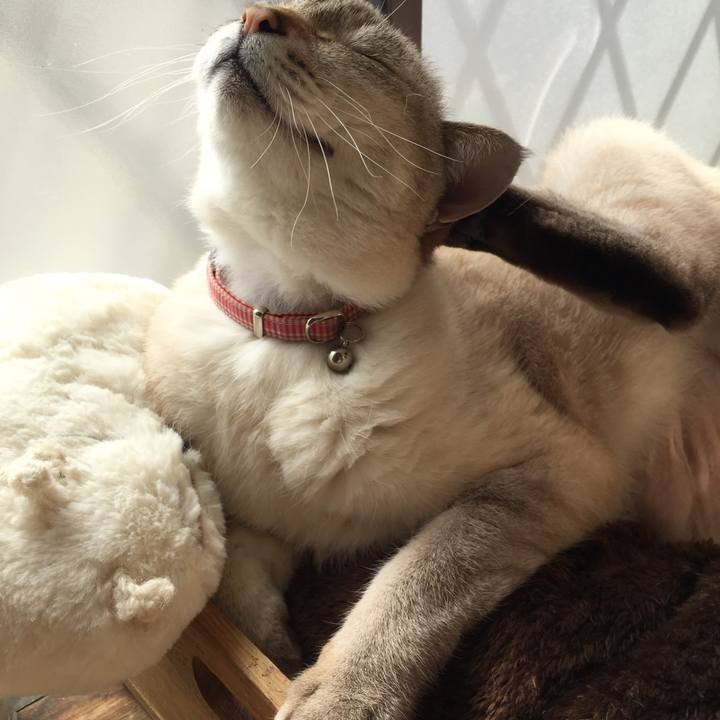 A22df03b c0aa 4fdd b6ef fe1db39dc16e