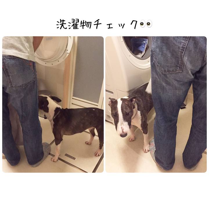 A22e06af d5d9 4dc9 a33e 5ebe9071fd4a