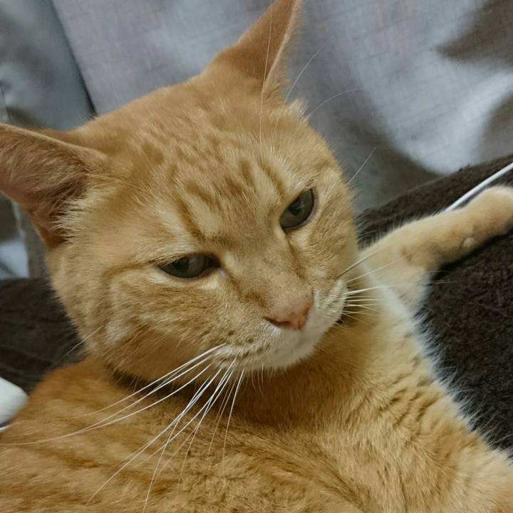 A22e26bd fc3b 48e4 9f59 e6c44019d6d7