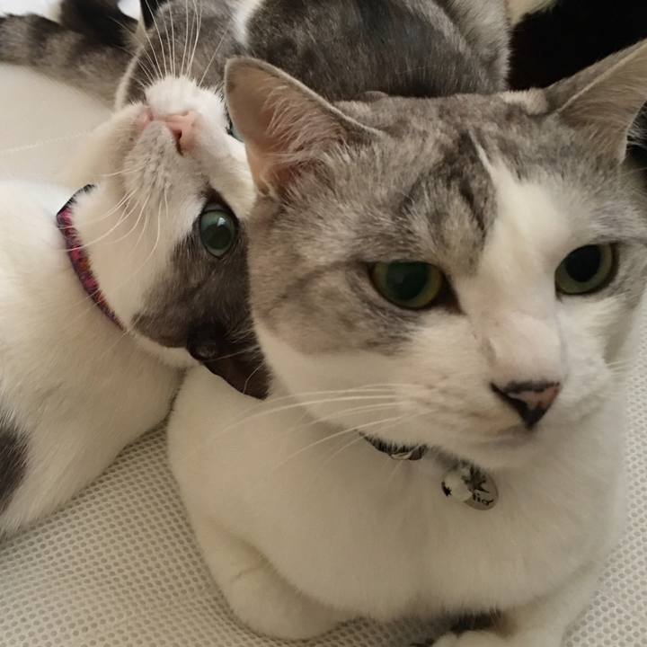 A22eb4f0 8e3c 4b31 86a0 6885ad89cbe2