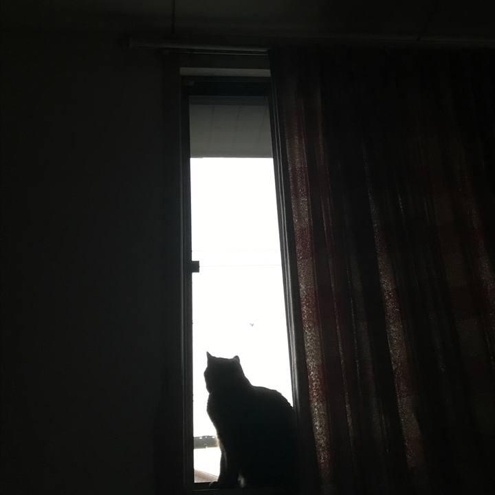 A22f2d05 2fb5 4a0c 9ff6 668d04d16913