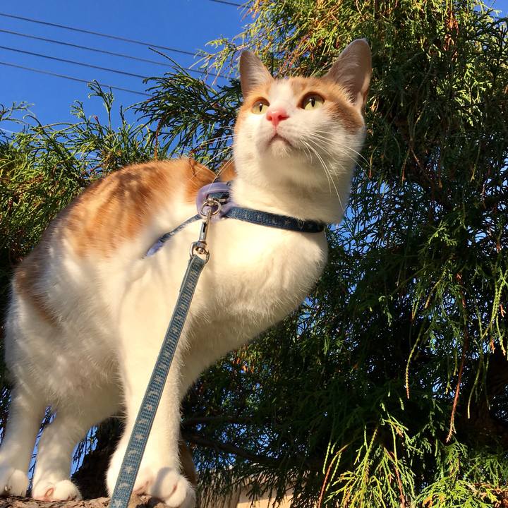 A22f94be a98e 4d19 849f 1bcc6499e437