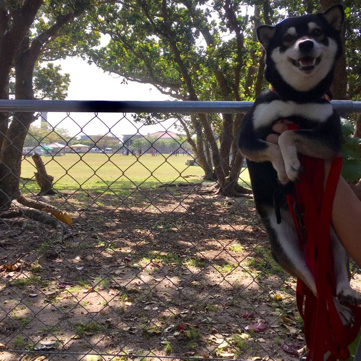 A22fa538 ee77 48c0 91ba 0a22c2d1c8c9