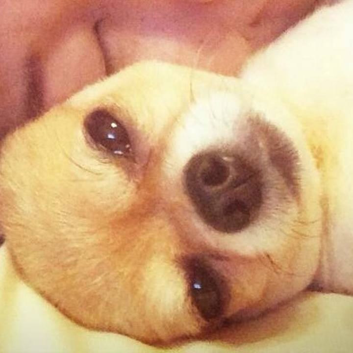 A2306eb9 7cb0 48a6 bf85 dec433546ce2