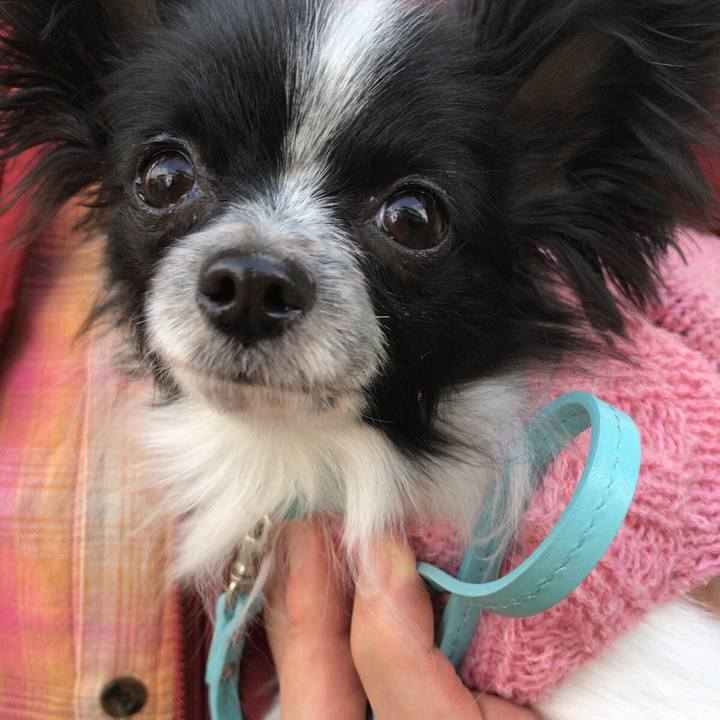 A23196fa 4f3b 417d bcfc 820736d53dde