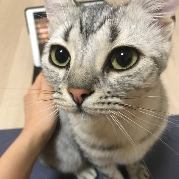 A231b5ec 4c5b 4d31 8bba 5a570bff57d8