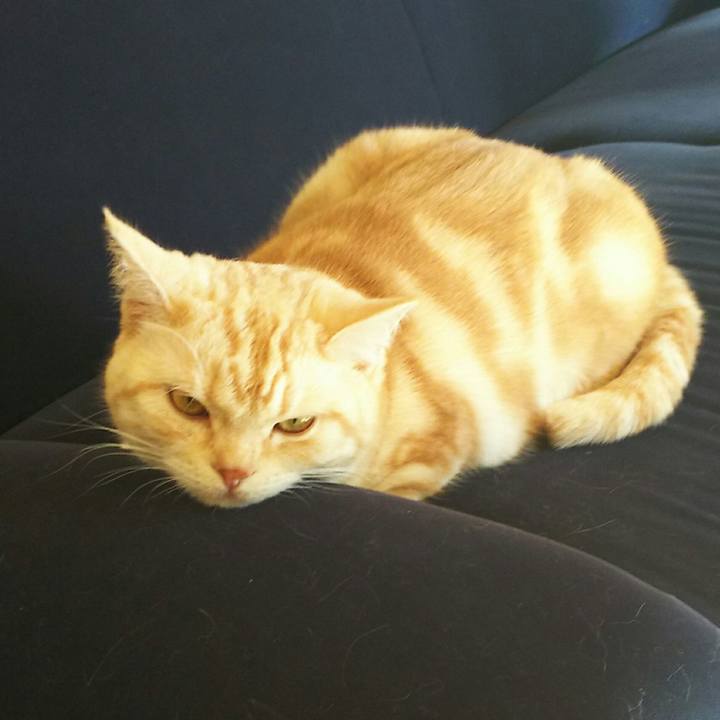 A231f194 c589 40f2 8b9f 6c78da59d340