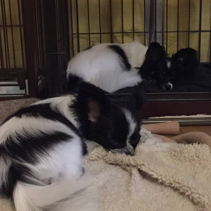 A232927f 0e7e 41cb a345 b159ce1f9155