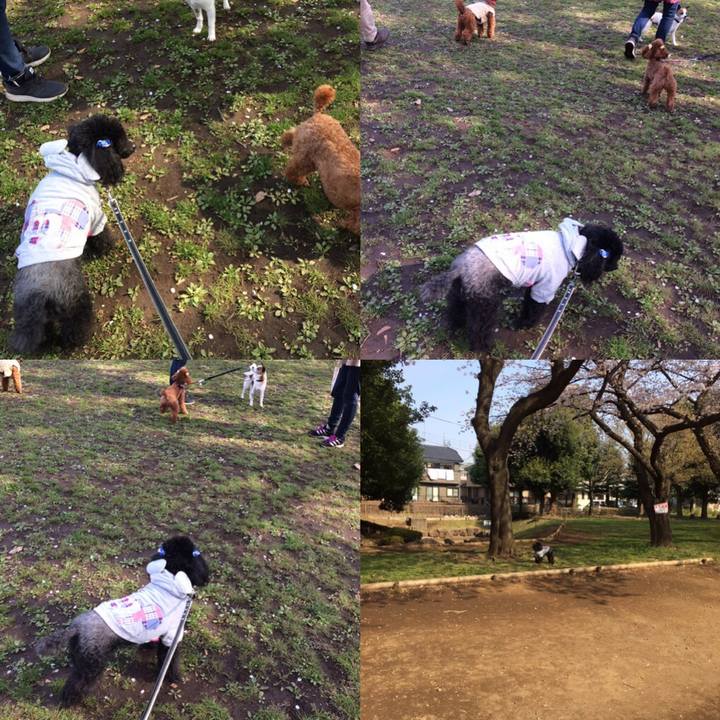 A232aa38 63cb 433e 9eb8 9d49cb53902a