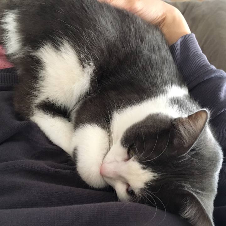 A2334fe8 8914 4aaa 8bdf aad952d9a83e