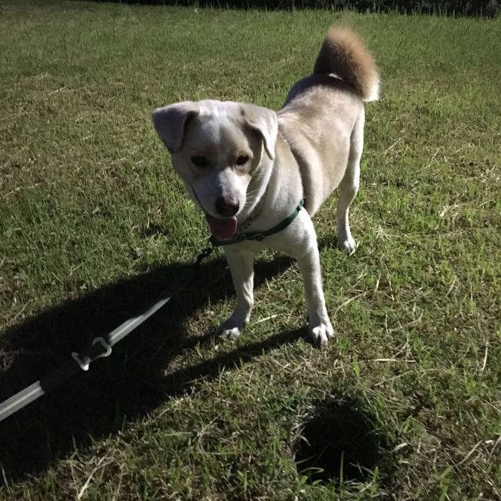 A2341bfc bff8 4c28 a98a 55e1dafe2d14