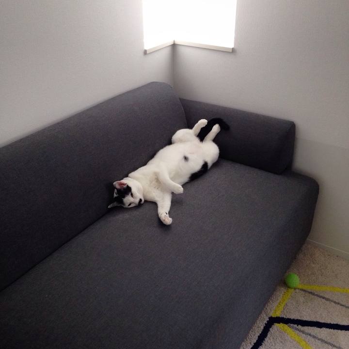 A23427dd 6eb0 4073 afbf a9a9b6436dfc