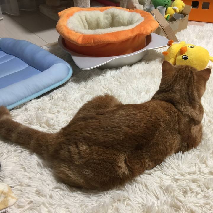 A23439c6 56e5 486d be71 aa655a1fa0c3