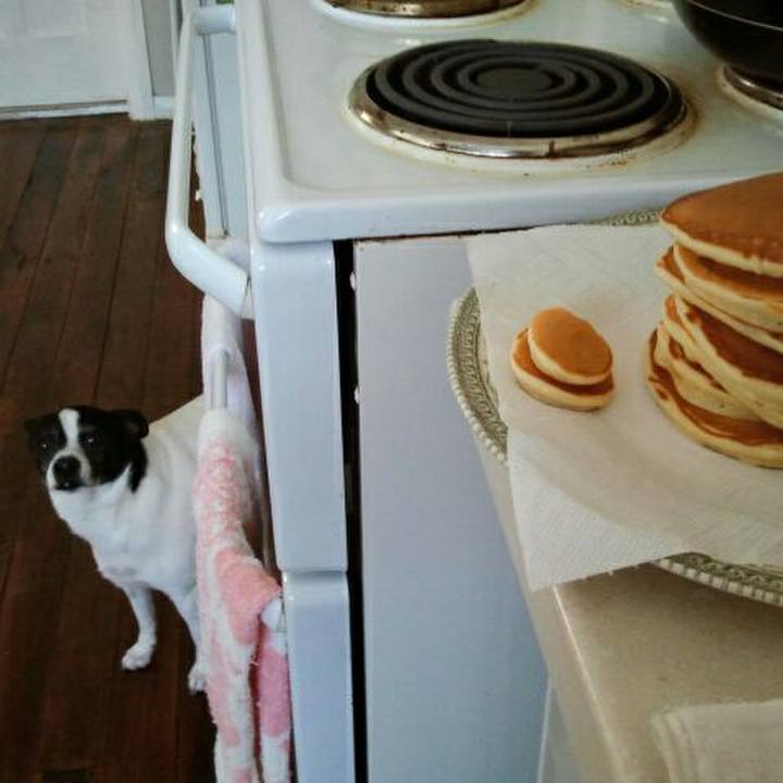 A235e7a5 928a 4282 aaeb 2b6b87f20708