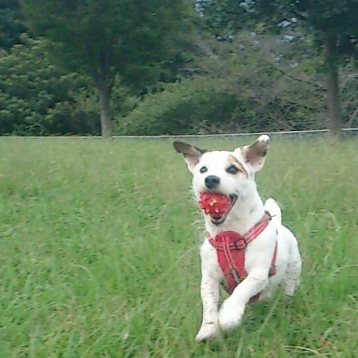 A2367c58 4e5d 499c 8763 7b173105ccd3