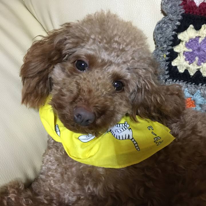 A2369706 c69c 4ea6 bf97 035914792276