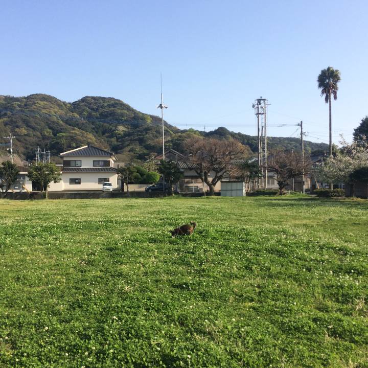 A236cea8 20bf 4425 807b 481b3ff1d7a0