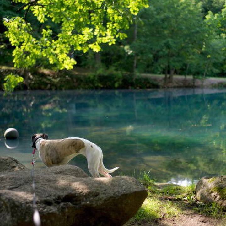 A236e261 8e72 434e b75b d221017f4a66