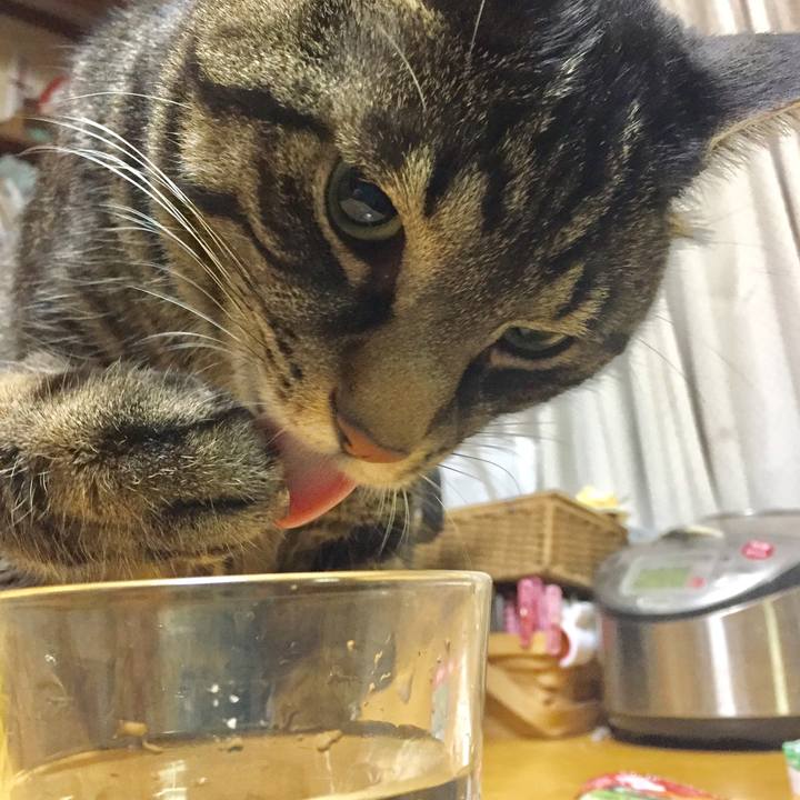 A237179e 2e4e 45f9 8ce2 d06589f4d2ea