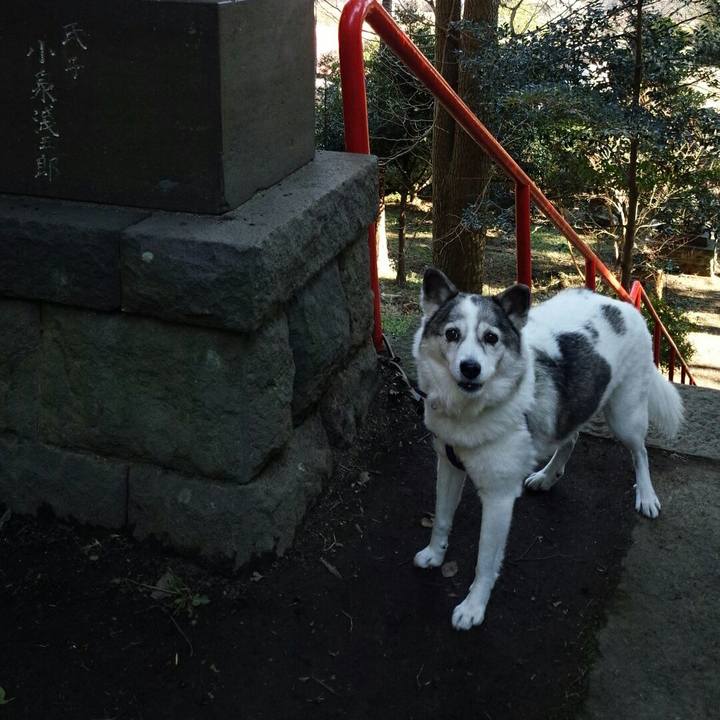 A23762fc 00b8 48aa 80ad 95404b9b7800