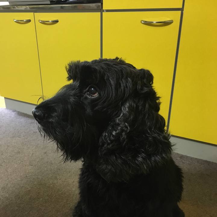 A2386064 123a 4871 a2ca 42d556cd9b96