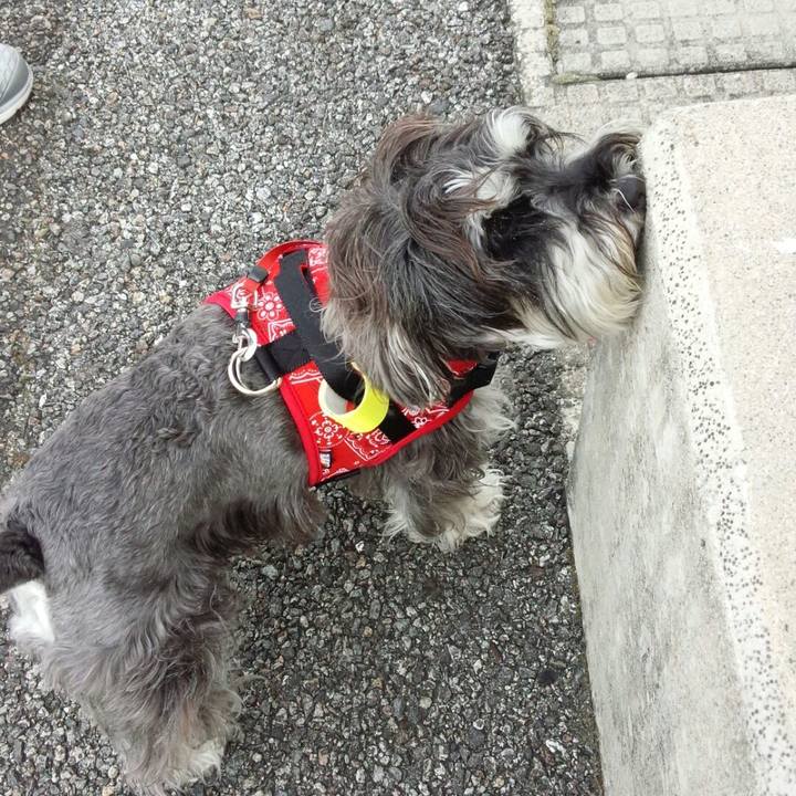 A2386d3a 924c 4235 be96 6652ed38f788