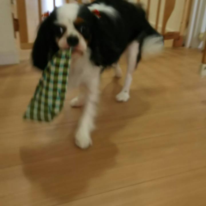 A2390ece 25e3 4b37 b2ae 43a60bb91a2e