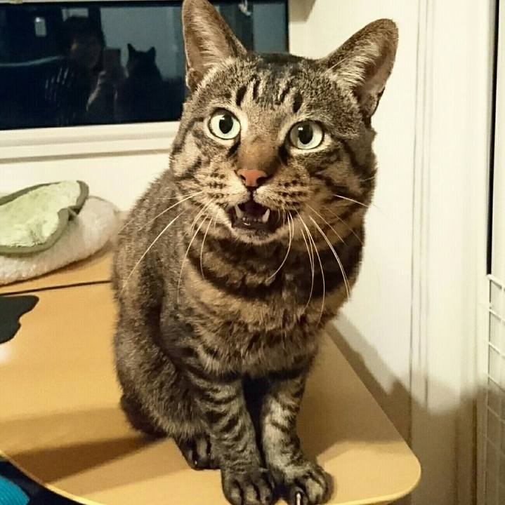 A239519d e9ba 49a7 a472 08b46e026aec