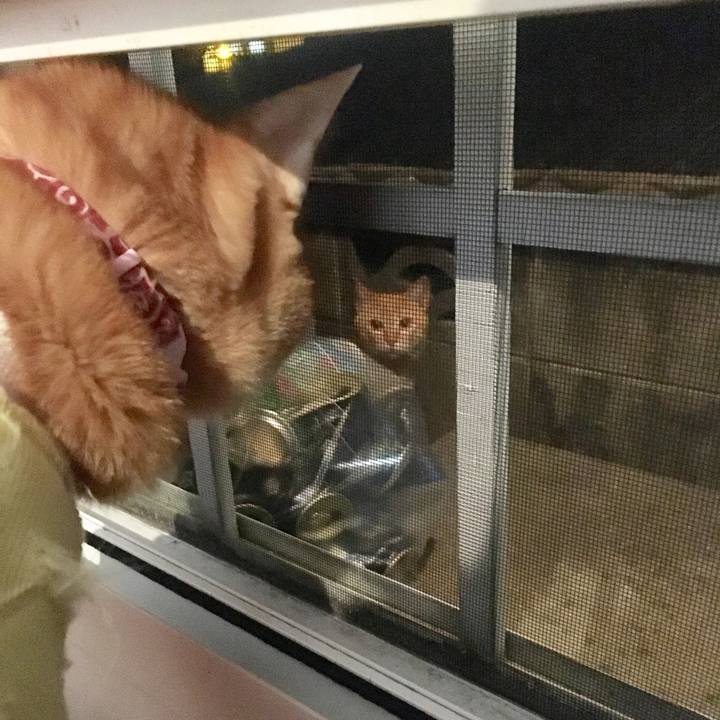 A239f5c1 8bd8 4a01 9038 fee5facbf495