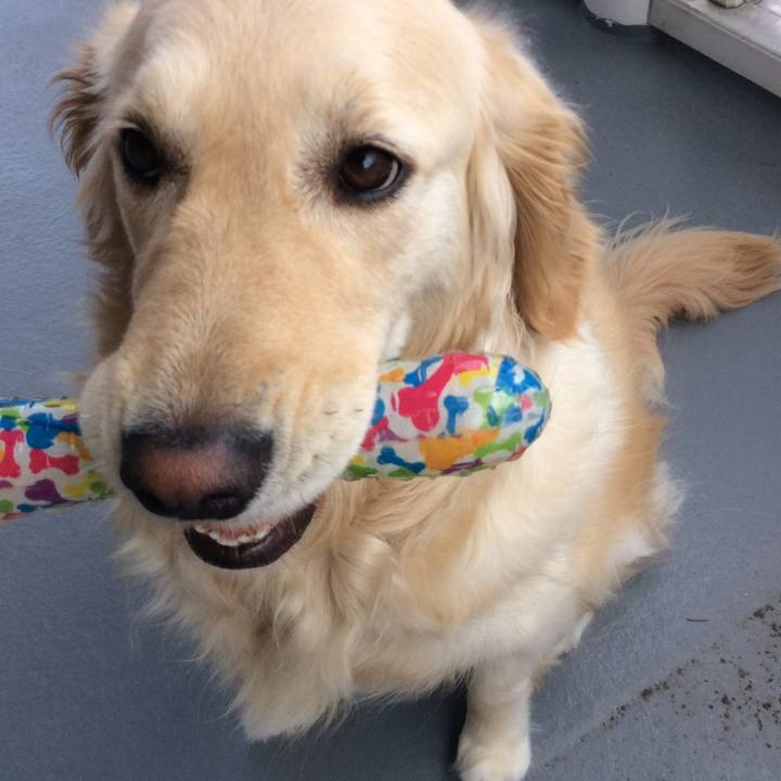 A23a060e 447b 414a bee6 83902f419a35