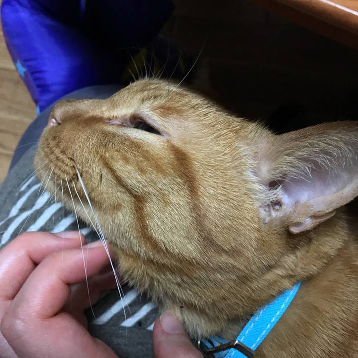 A23a75d1 e86e 4a66 8c67 f2476cfb3a6b