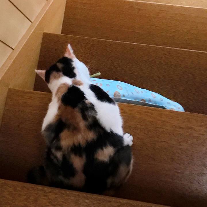 A23aba8b f100 4f43 a57e 84790abc133c