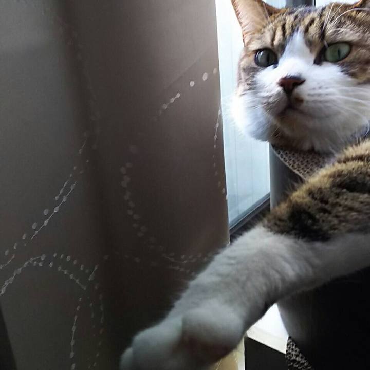 A23ac309 1afc 472e 988c 38ce053b6ad2