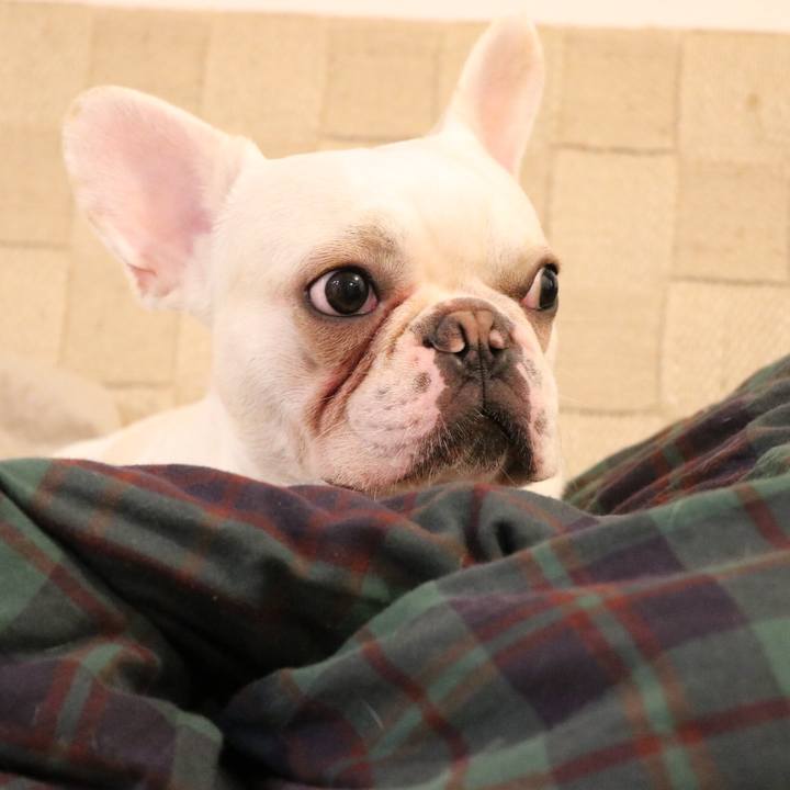 A23b3411 0b7b 40bc 91d4 5e4795ca0635