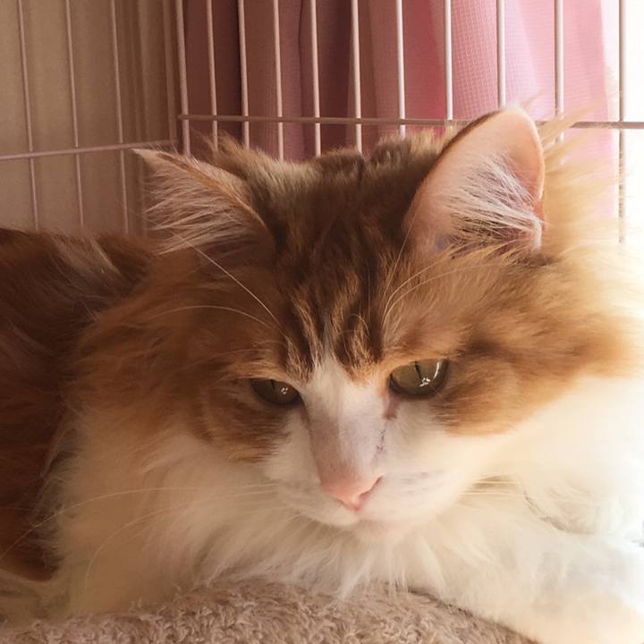 A23b5269 3464 4fec b7ae 6a16e5920354