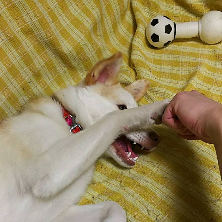 A23c2df7 f580 47b9 8ecc 6dd18510de8e