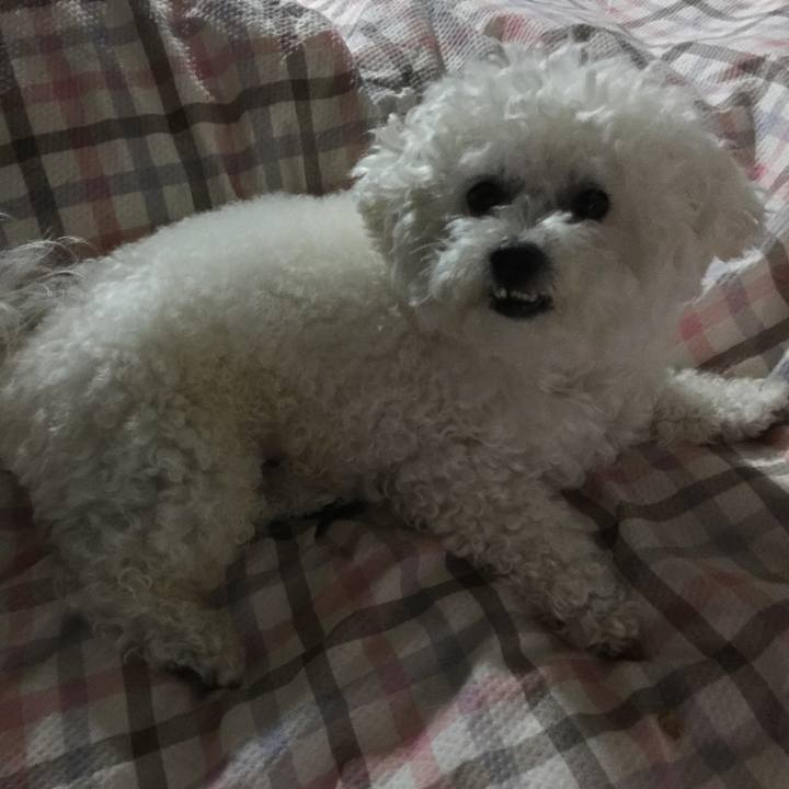 A23c5ed8 20f3 4f78 9ab0 91722ac7673a