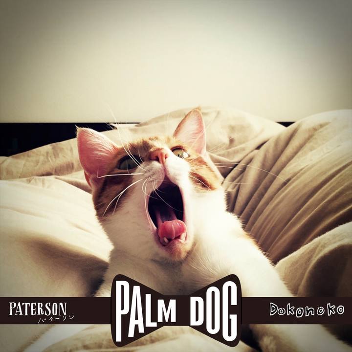 A23dd069 f3a9 4bb8 8941 09e0b170ecc4