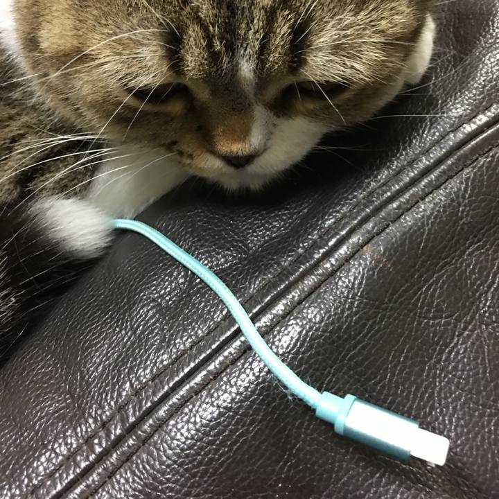 A23eca59 6d83 43e2 bfde 1a25e058215c