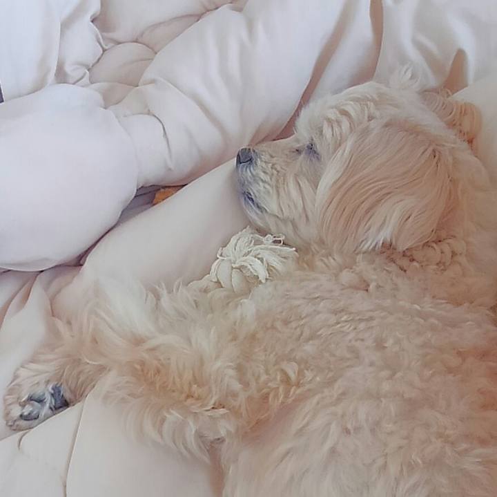 A23f5084 106e 4382 af5b 209550f8a051