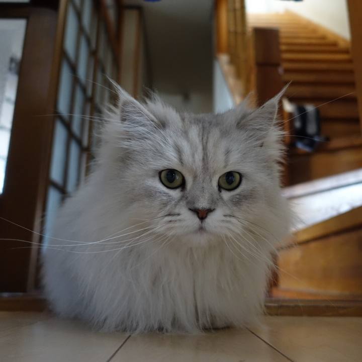 A23fb44f 7d6e 41e1 8da0 fe5cf2a7b8db