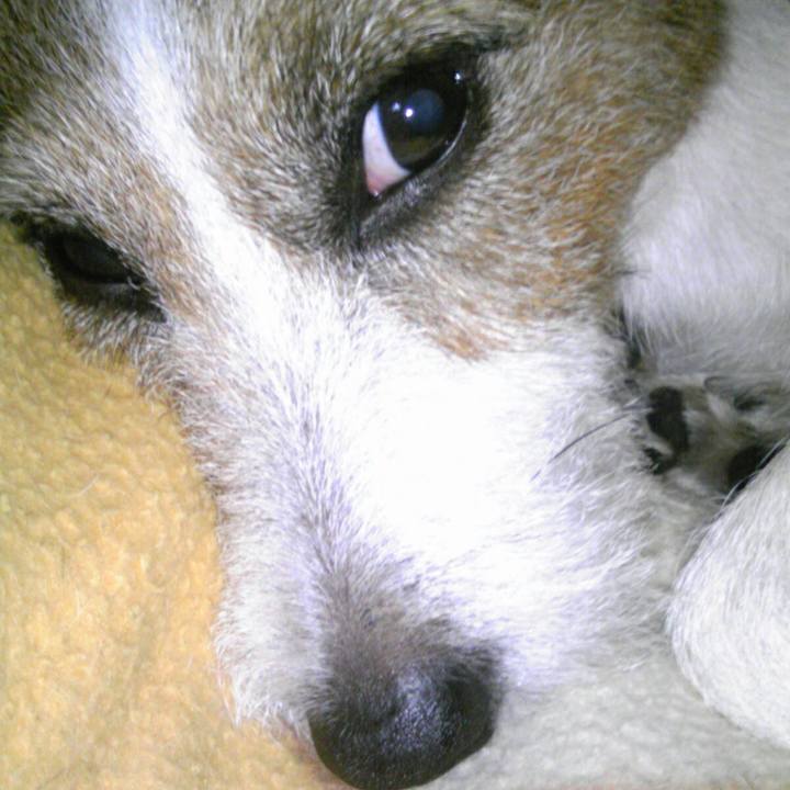 A23fbeb6 b86c 4e6d 88af b63db572238a