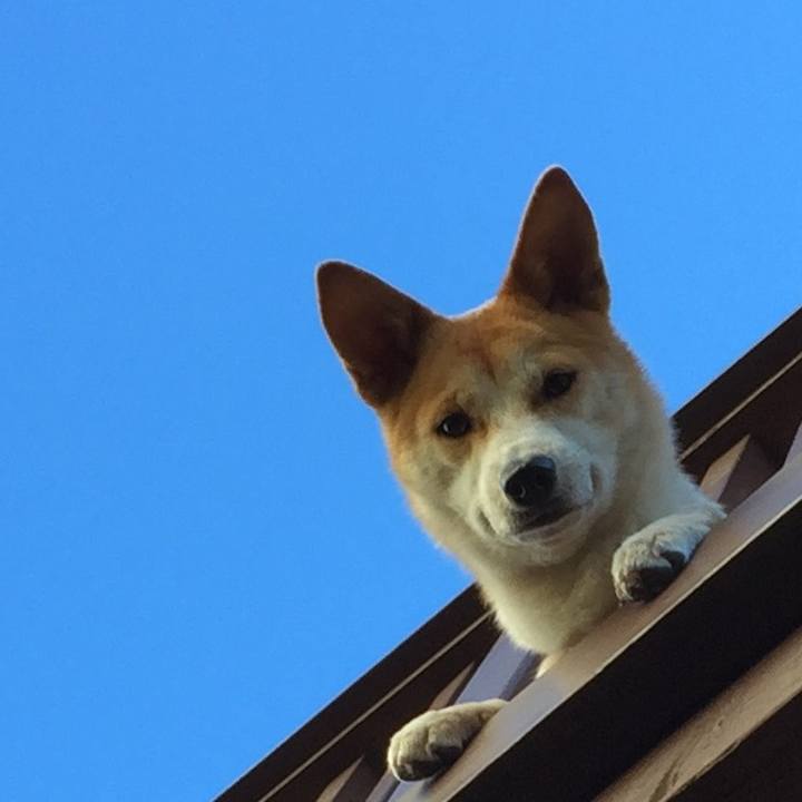 A23fdf39 3705 430b 8327 53bd591c154e