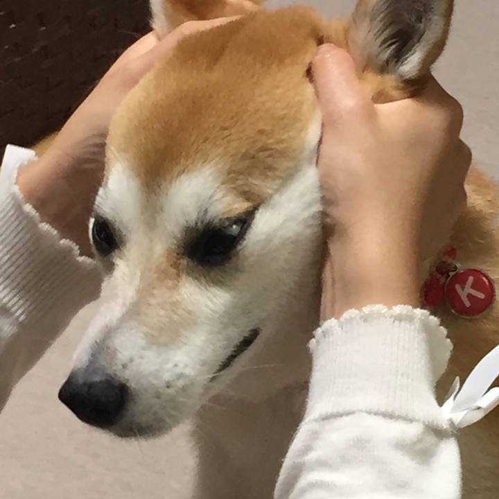 A2401614 583c 4e58 931b ec74c2153ee7