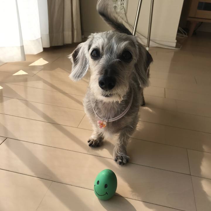 A24076ee 02da 4f9d 8264 232796570143